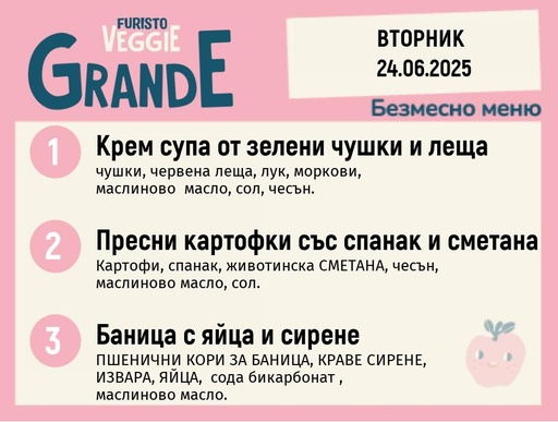 [DY.05.25.5311] Меню 24.06 безмесно 300гр. 