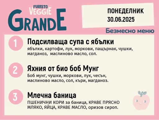 [DY.05.25.5321] Меню 30.06 безмесно 300гр. 