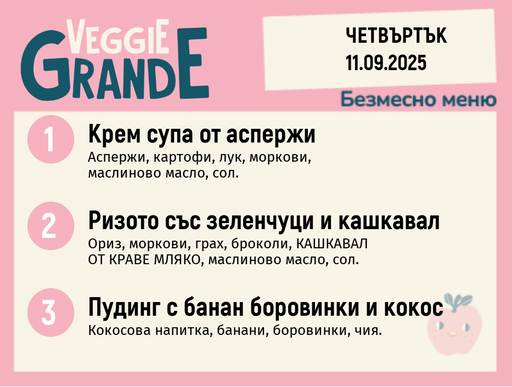 [DY.08.25.6359] Меню 11.09 безмесно 300гр.