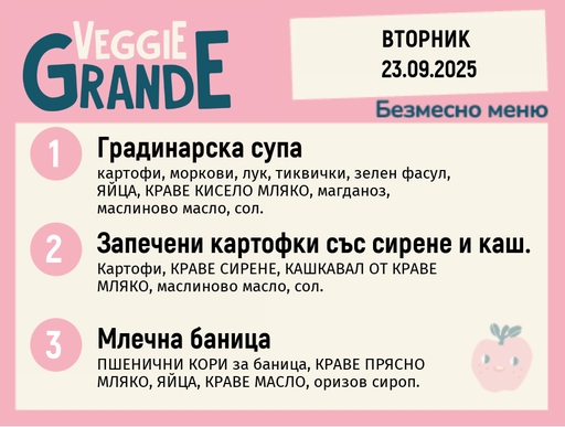[DY.08.25.6378] Меню 23.09 безмесно 300гр. 