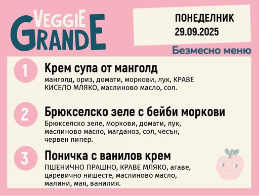 [DY.08.25.6388] Меню 29.09 безмесно 300гр.
