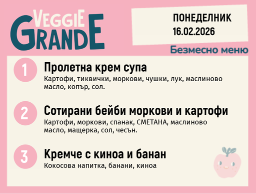 [DY.01.26.8715] Меню 16.02 безмесно 300гр. 