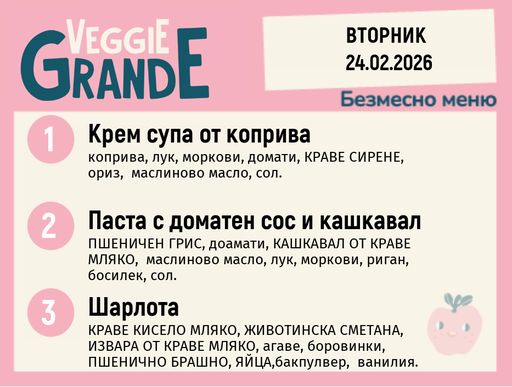 [DY.01.26.8729] Меню 24.02 безмесно 300гр.