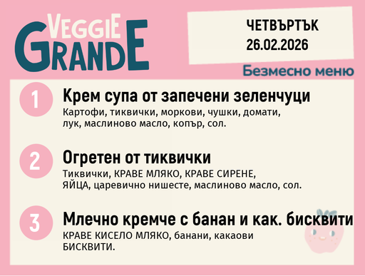 [DY.01.26.8733] Меню 26.02 безмесно 300гр.