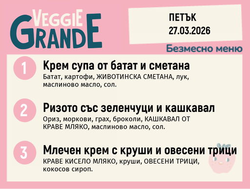 [DY.02.26.9179] Меню 27.03 безмесно 300гр.