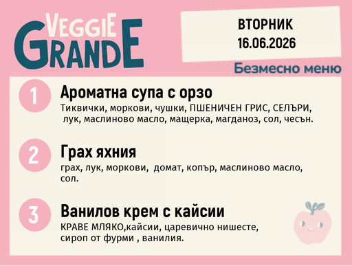 [DY.05.26.10427] Меню 16.06 безмесно 300гр.