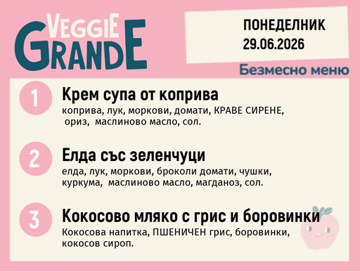 [DY.05.26.10449] Меню 29.06 безмесно 300гр.