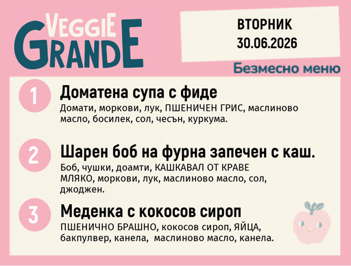 [DY.05.26.10451] Меню 30.06 безмесно 300гр.