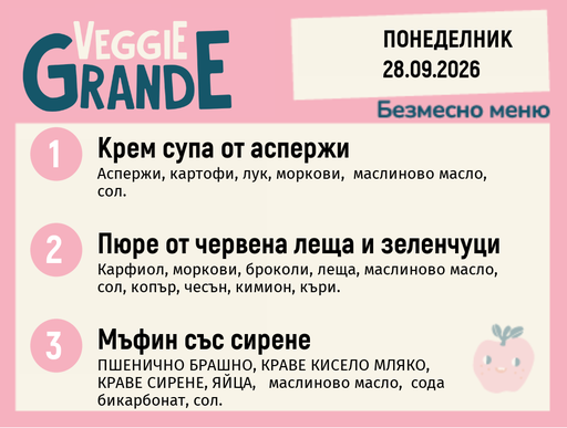 [DY.08.26.11951] Меню 28.09 безмесно 300гр.